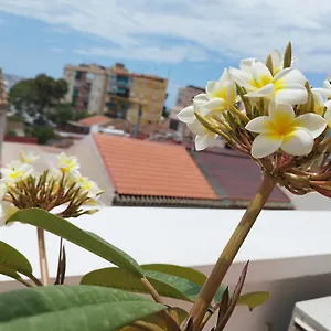 Plumaria Appartement